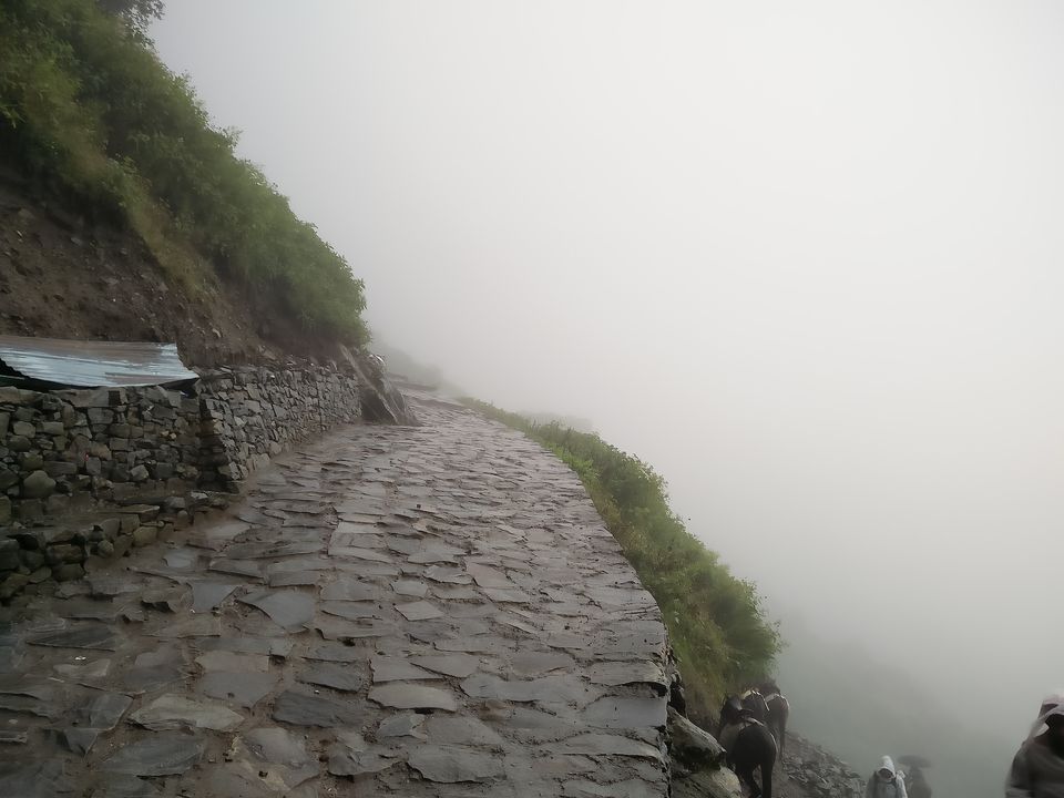 Photo of Hemkund Sahib and Valley of Flowers: Ideal Solo Trekking Destinations  7/14 by Baljinder Singh