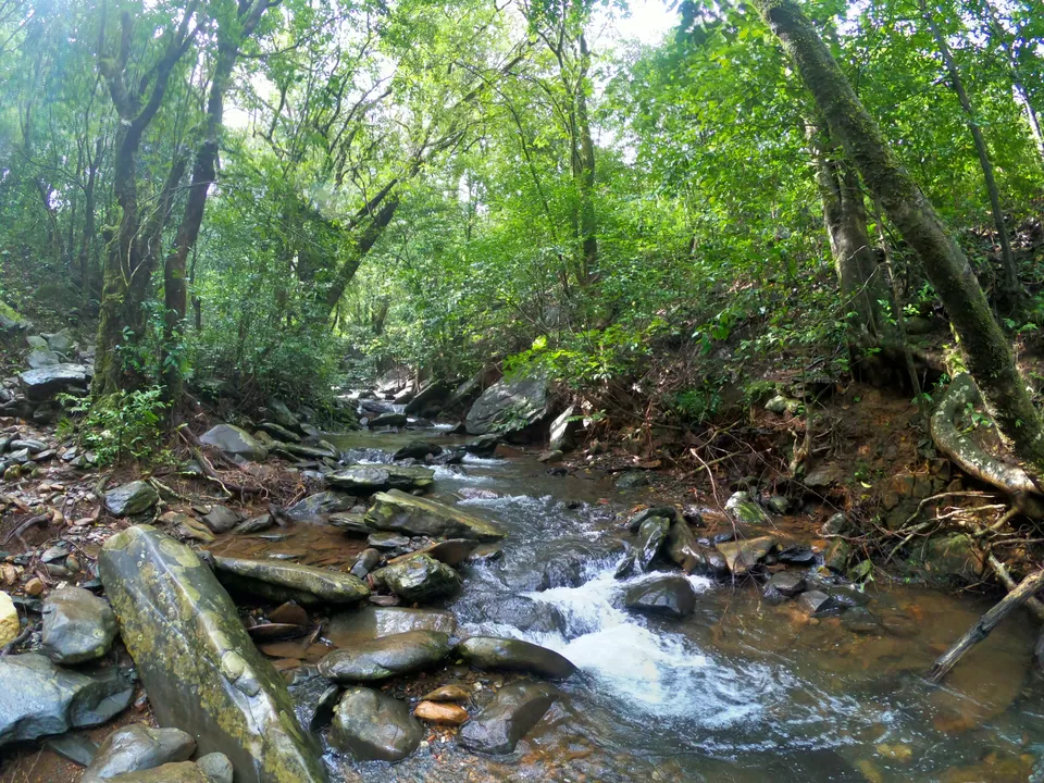 Photo of Chikmagalur, Karnataka, India by Spirited Soul