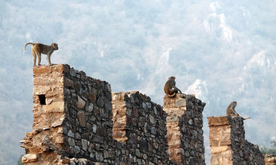 Photo of Bhangarh, Rajasthan, India by DJ Yadav