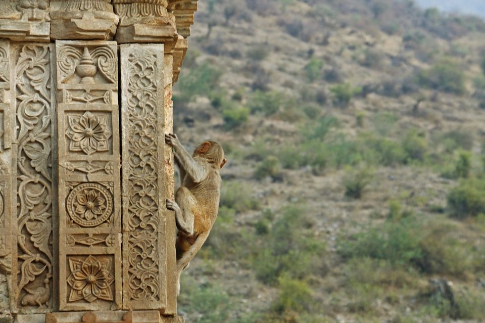 Photo of Bhangarh, Rajasthan, India by DJ Yadav
