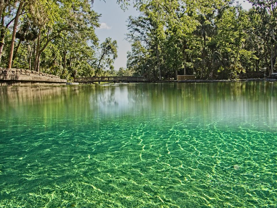 Photo of Natural Springs of Orlando are Worth to Visit For by Doris Mercy