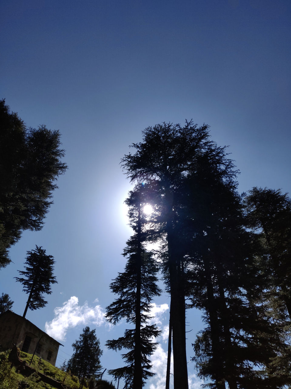 Photo of Sun kissed in khajjiar by Brown girl Travelling