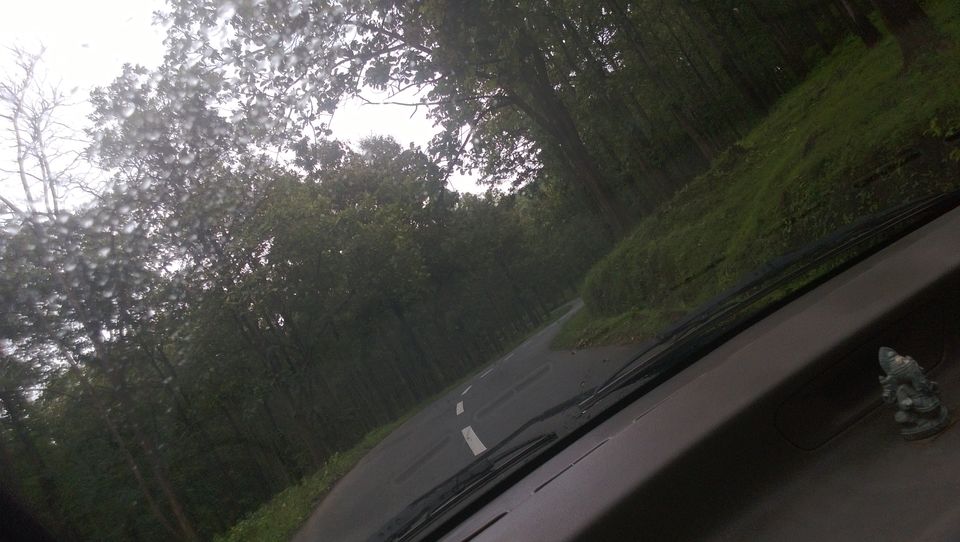Photo of Immersed in Greenery: Wayanad, Kerela 3/9 by Pragya Srivastava