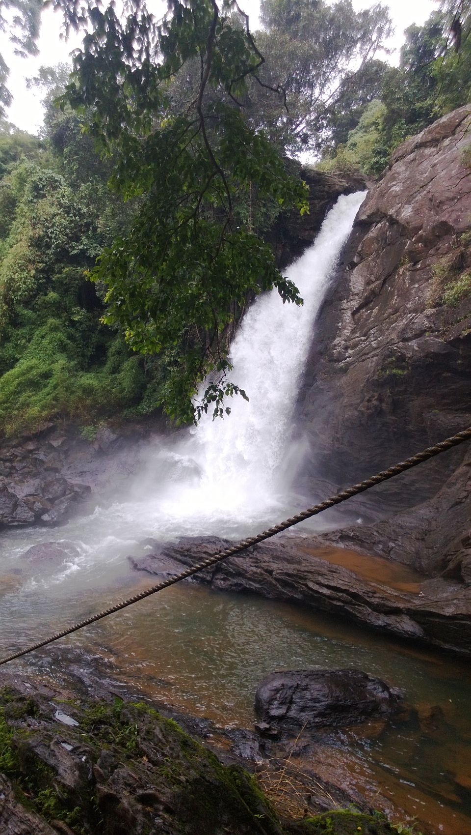 Photo of Immersed in Greenery: Wayanad, Kerela 6/9 by Pragya Srivastava