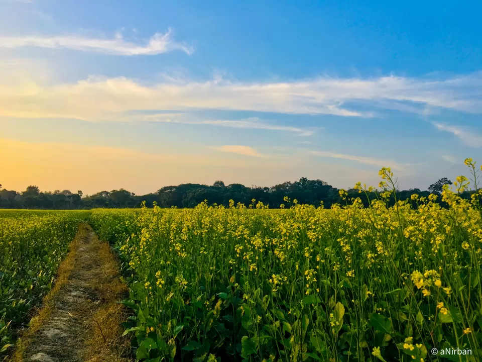 Photo of Taki By Anirban Manna