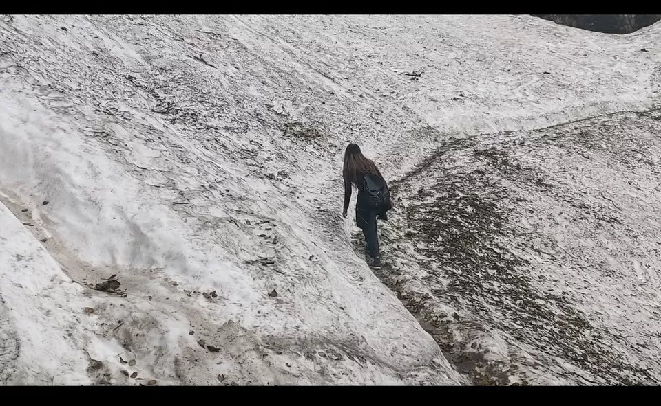 Photo of The walk in the snow frindge by Alice Joseph