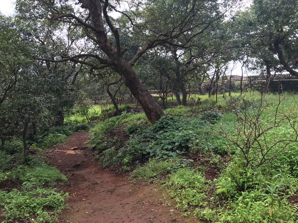 Photo of Mahabaleshwar, Lonavala And Khandala Awesome Tourist Place by Kishan Prajapati