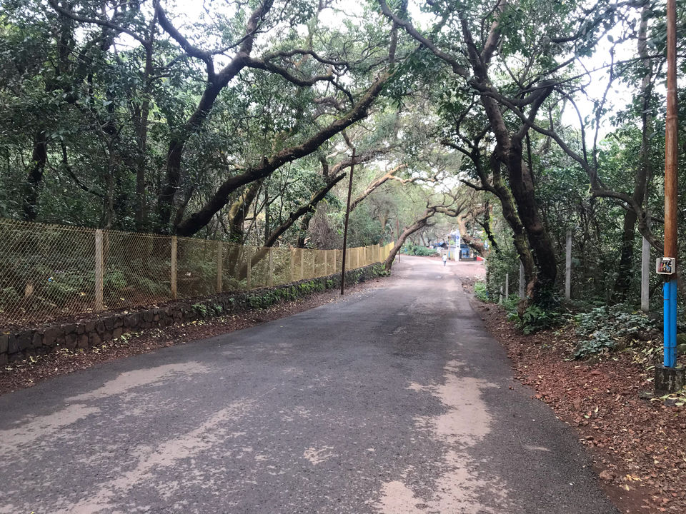 Photo of Mahabaleshwar, Lonavala And Khandala Awesome Tourist Place by Kishan Prajapati