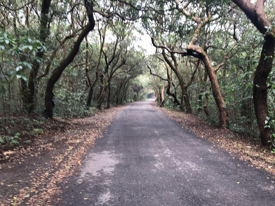 Photo of Mahabaleshwar, Lonavala And Khandala Awesome Tourist Place by Kishan Prajapati