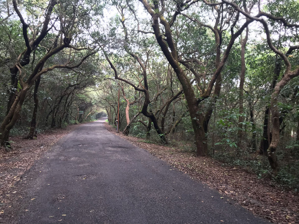 Photo of Mahabaleshwar, Lonavala And Khandala Awesome Tourist Place by Kishan Prajapati