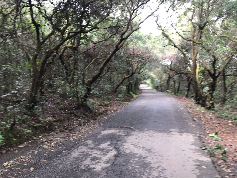 Photo of Mahabaleshwar, Lonavala And Khandala Awesome Tourist Place by Kishan Prajapati