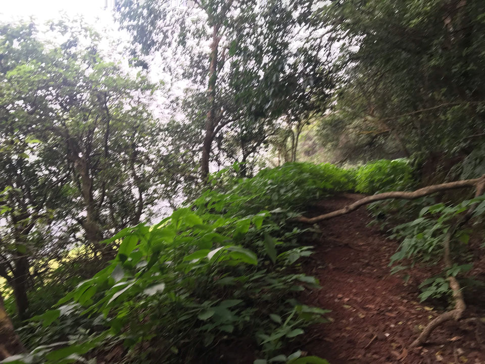 Photo of Mahabaleshwar, Lonavala And Khandala Awesome Tourist Place by Kishan Prajapati