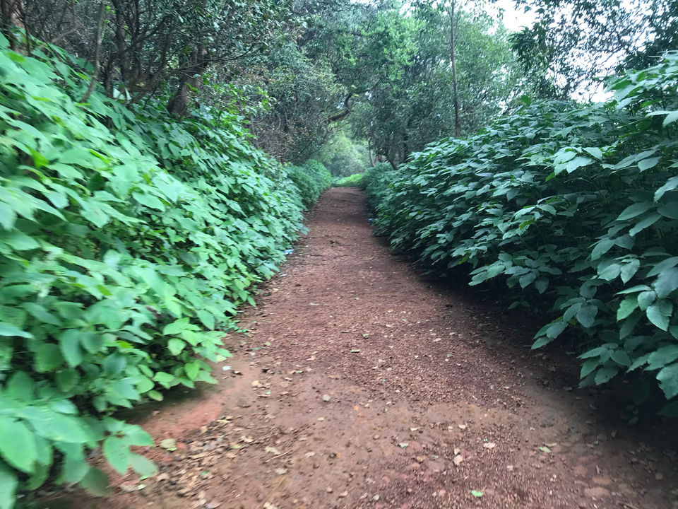 Photo of Mahabaleshwar, Lonavala And Khandala Awesome Tourist Place by Kishan Prajapati