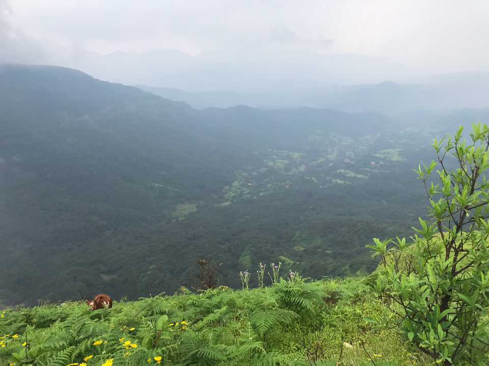 Photo of Mahabaleshwar, Lonavala And Khandala Awesome Tourist Place by Kishan Prajapati