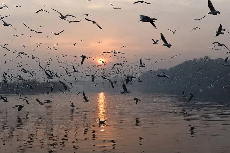 Photo of Nigambodh Ghat By Anurag Priyadarshi