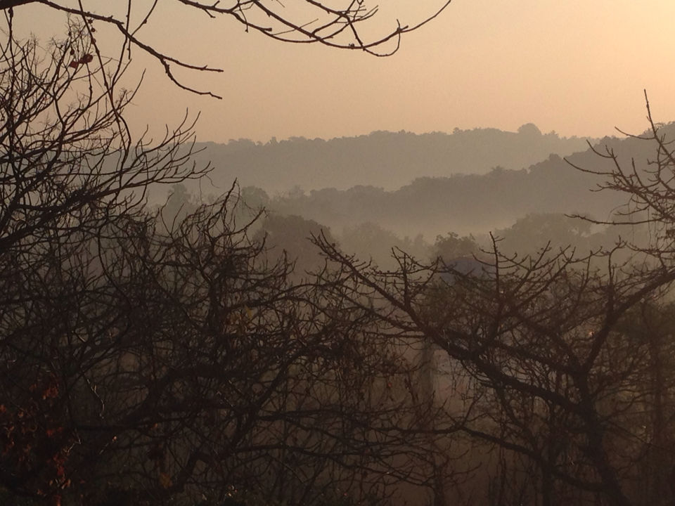Photo of Ocean Hill, Pareira Farms, Uttan, Mira Bhayandar, Maharashtra, India by Nikhil Das