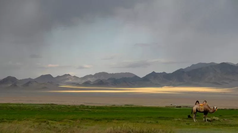 Photo of Mongolia by Nikhil Das