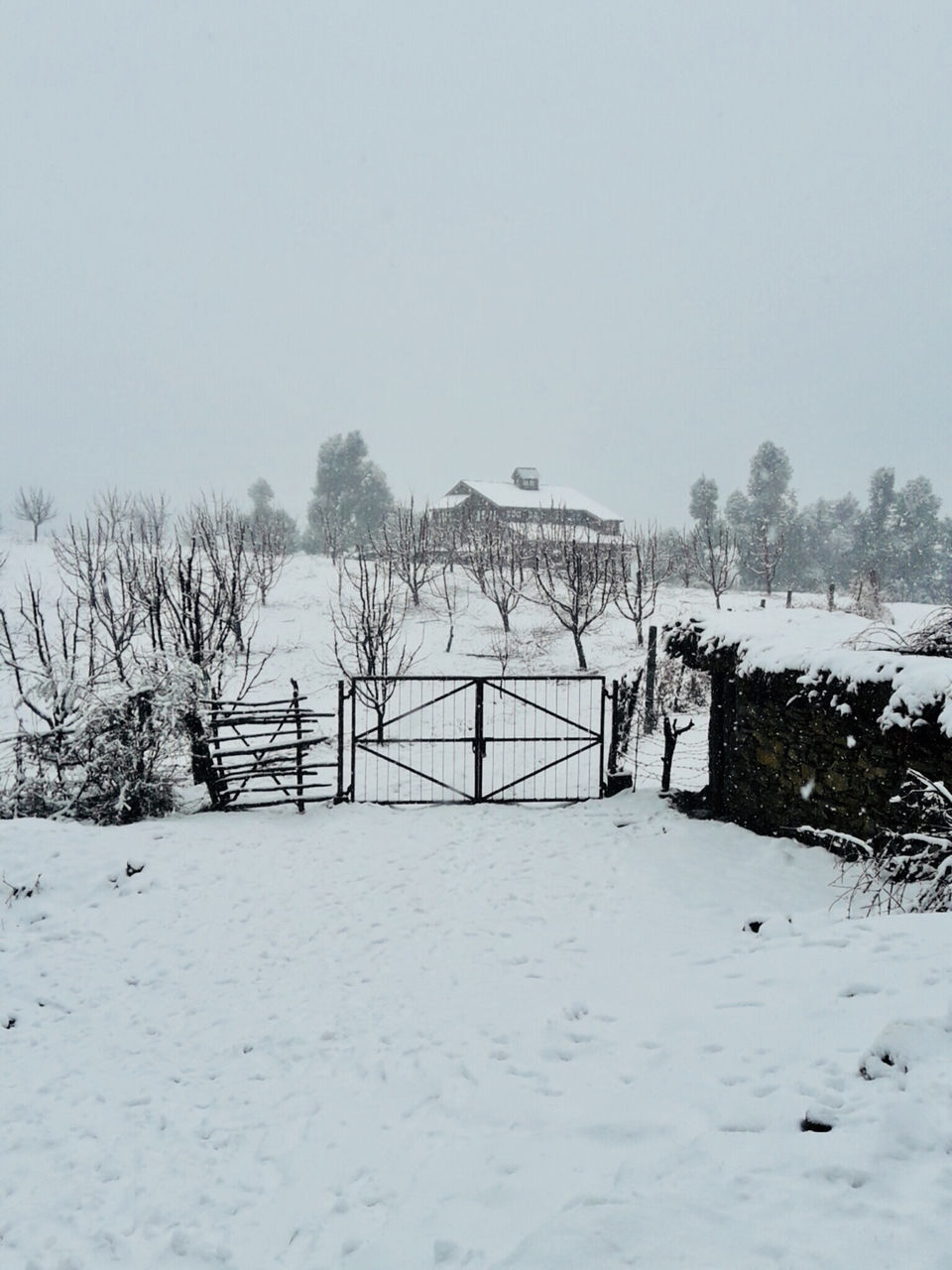 Photo of Prashar Lake, D.P.F. Parashar Dhar, Himachal Pradesh by Shuab Khan