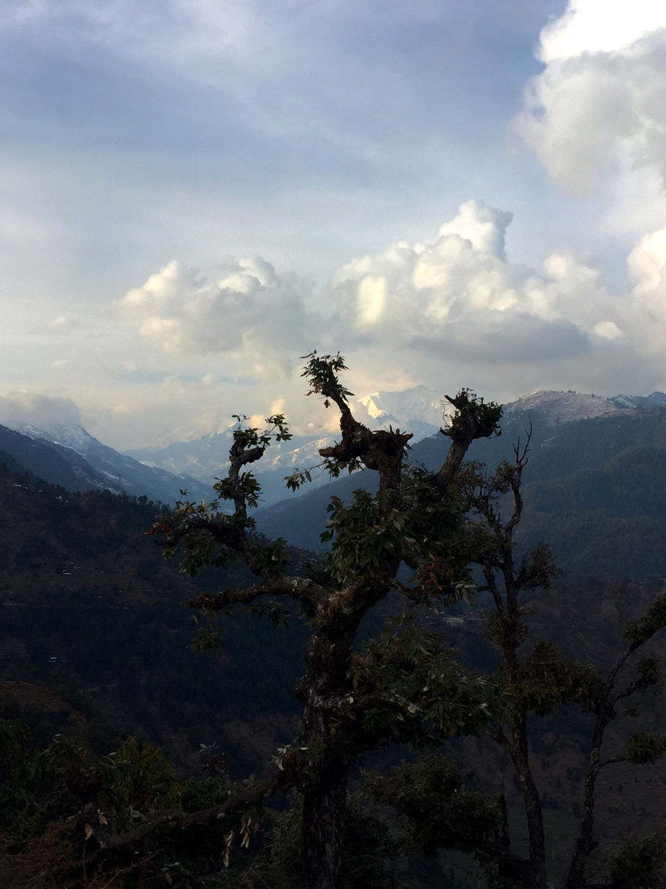 Photo of Barot Valley, Distt Mandi, Himachal Pradesh, India by Shuab Khan