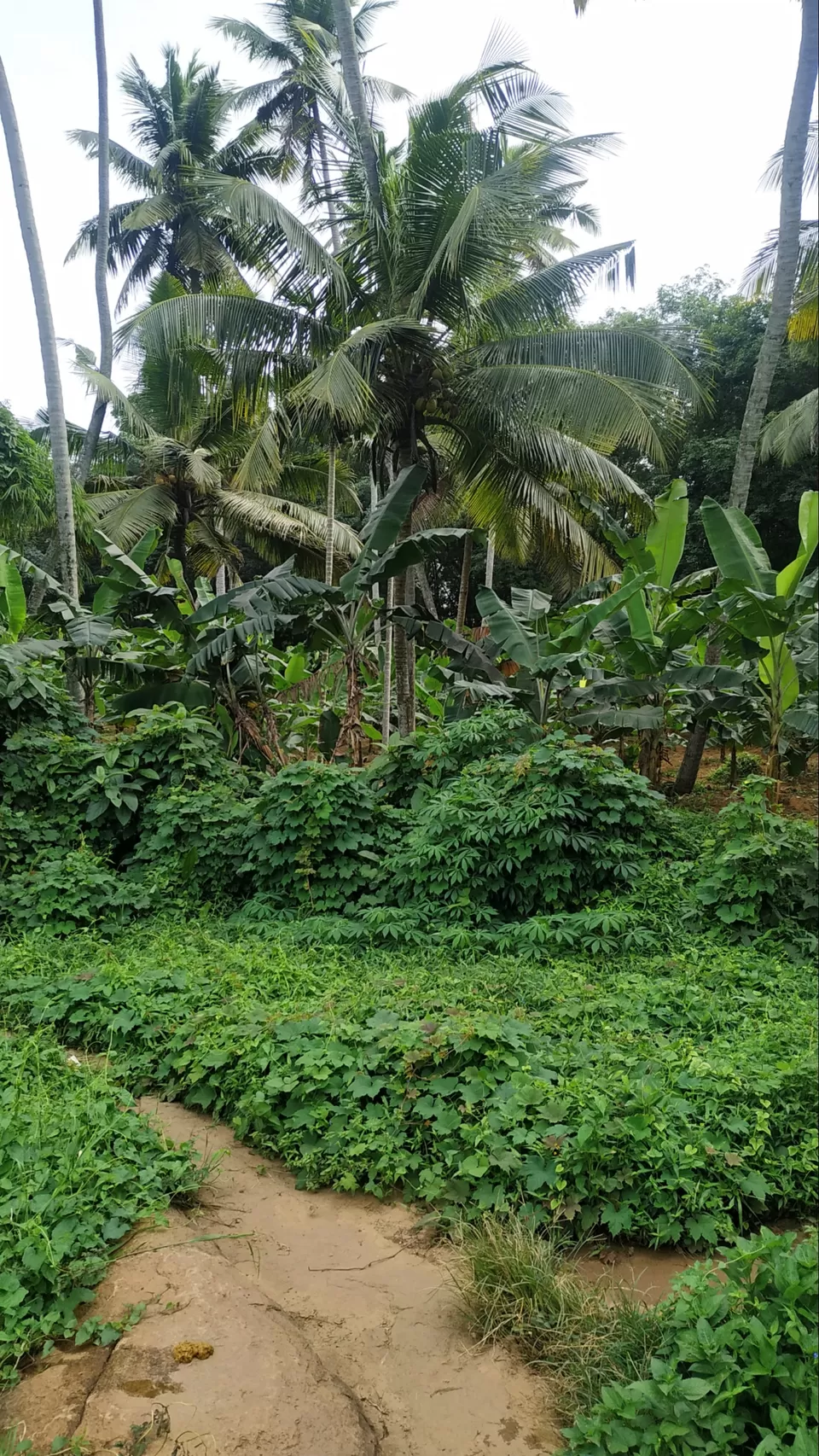 Photo of Tiruparapu, Tamil Nadu, India by Ukdc Jai