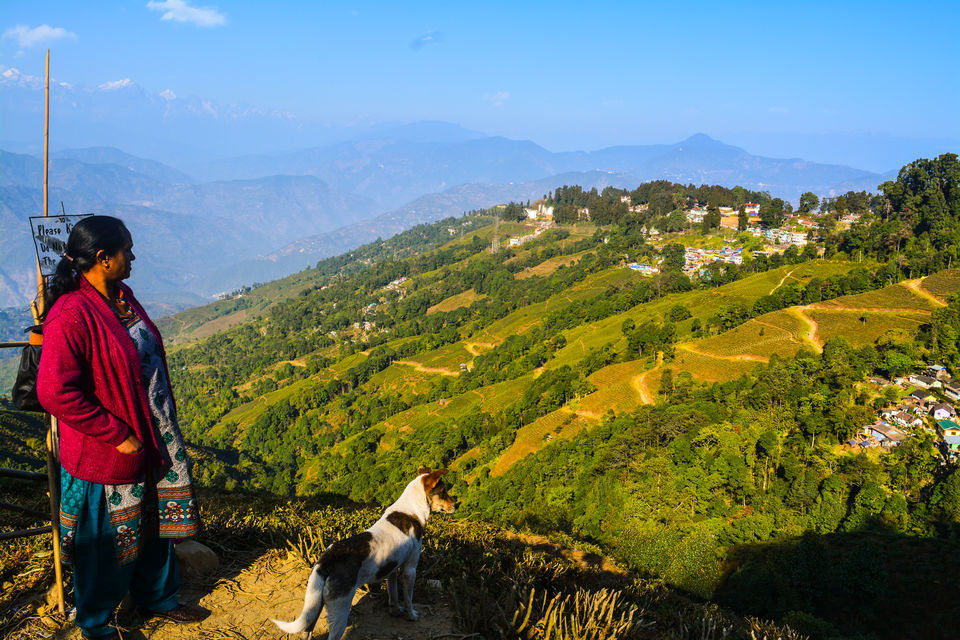 darjeeling trip plan from kolkata