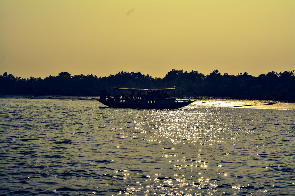 Photo of A day in Sunderbans – Largest mangrove forest in the world 5/10 by WanderMonn