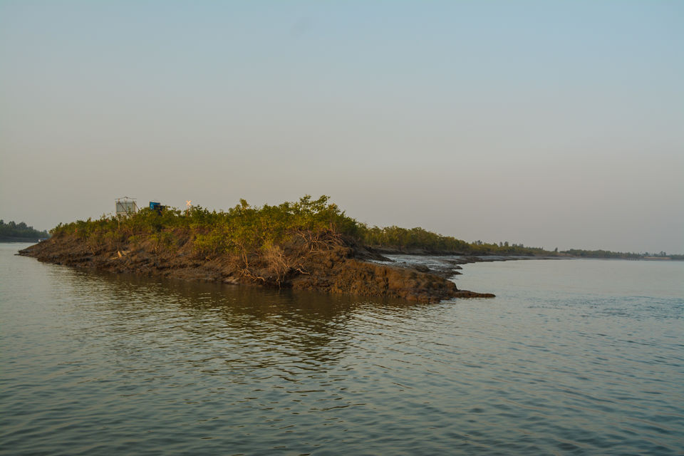 Photo of A day in Sunderbans – Largest mangrove forest in the world 8/10 by WanderMonn