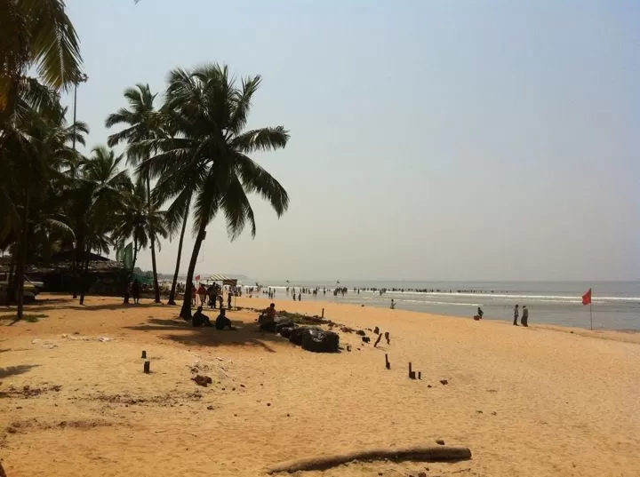 Photo of Club Tito's Goa, Titos Lane, Near Baga Beach, Saunta Vaddo, Calangute, Goa, India by Explore with MK ✈️