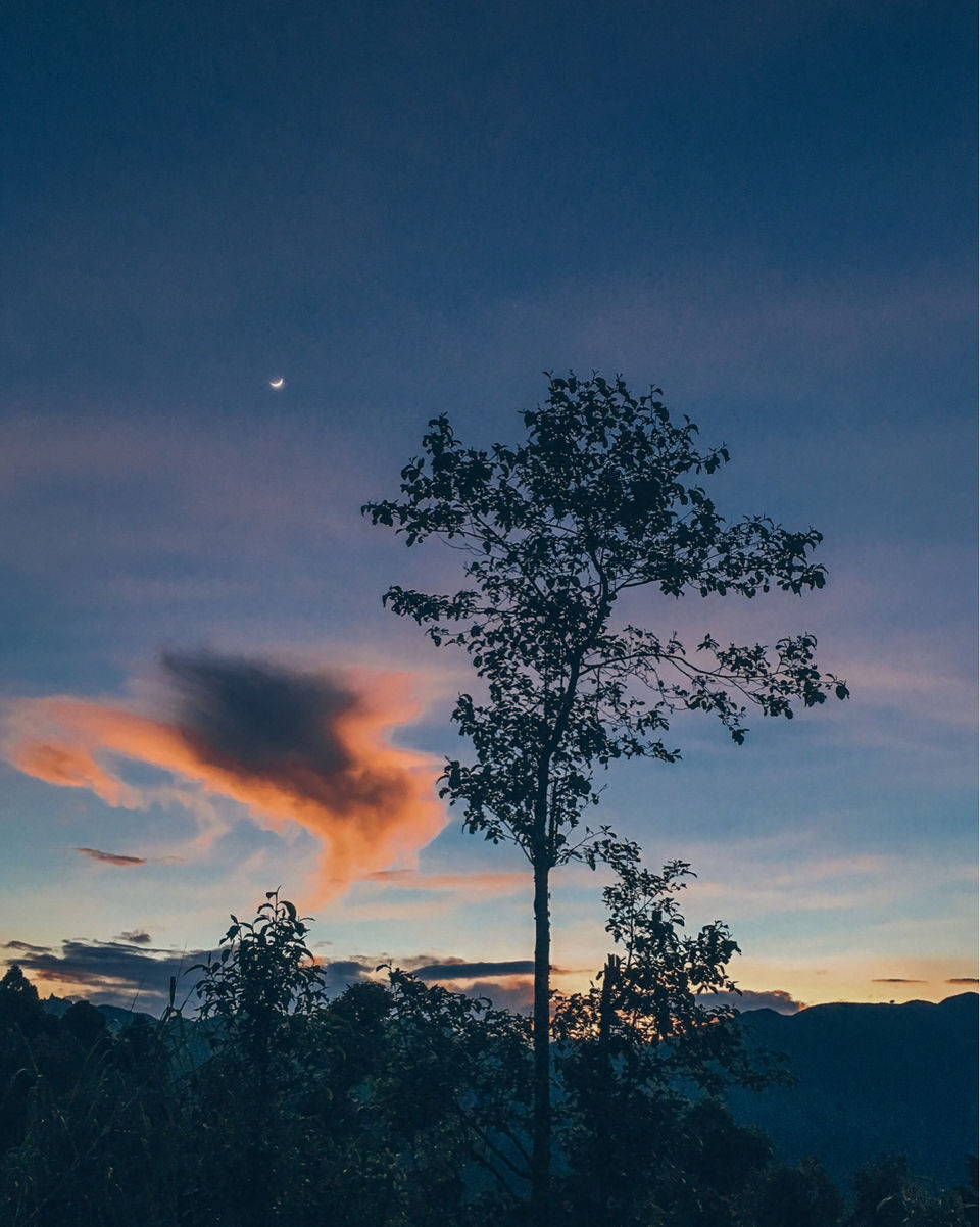 Photo of Chatakpur Road, Sonada Forest, Darjeeling, West Bengal, India by Srideep Ghosh