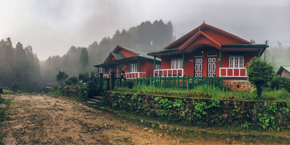 Photo of Chatakpur Road, Sonada Forest, Darjeeling, West Bengal, India by Srideep Ghosh