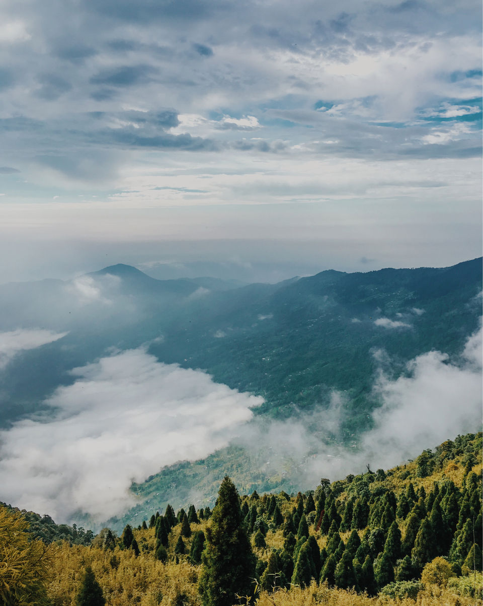 Photo of Chatakpur Road, Sonada Forest, Darjeeling, West Bengal, India by Srideep Ghosh