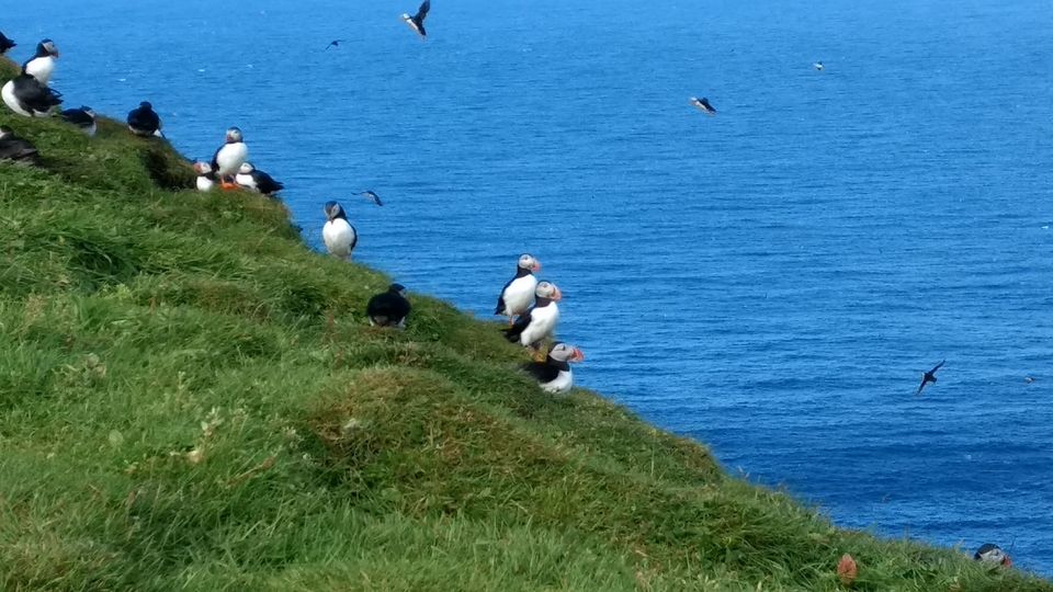 Photo of Faroe Islands: Last heaven on Earth by Sachin Salgaonkar