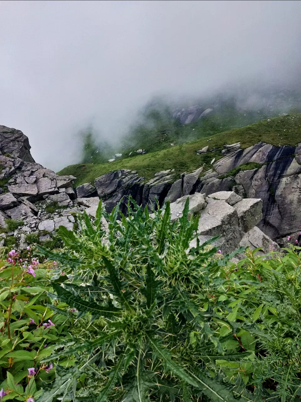 Photo of Amazing Trip by suraj singh