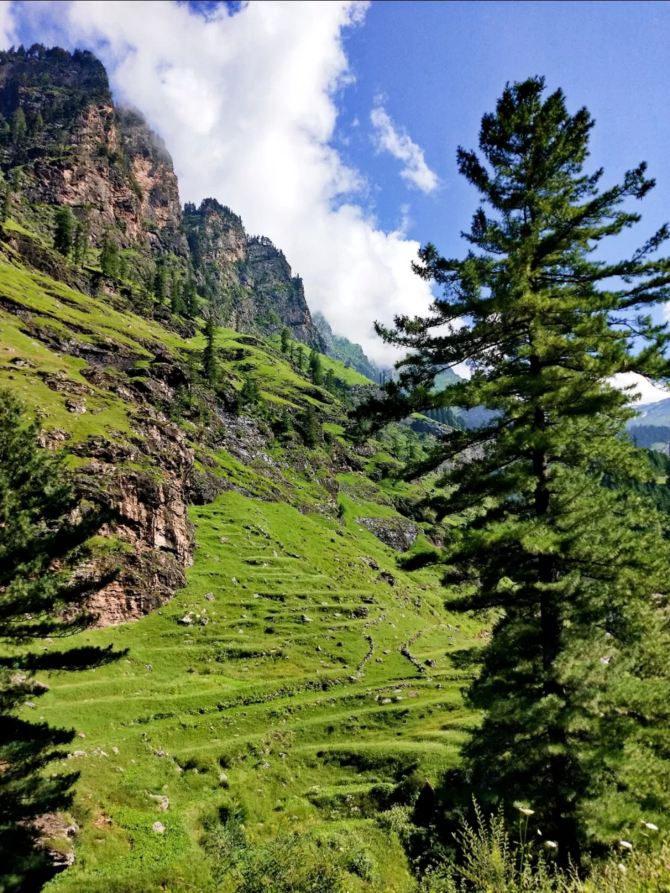 Photo of Amazing Trip by suraj singh