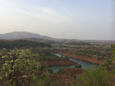 Photo of Fireflies trail-Purushwadi 9/13 by Mohal Banker