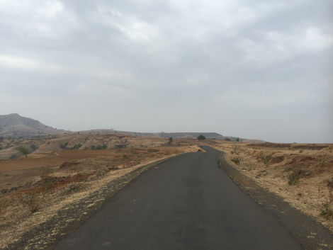 Photo of Fireflies trail-Purushwadi 13/13 by Mohal Banker