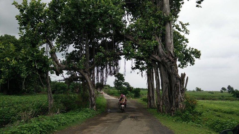 Photo of Mandu, Mandav, Madhya Pradesh, India by Mohal Banker