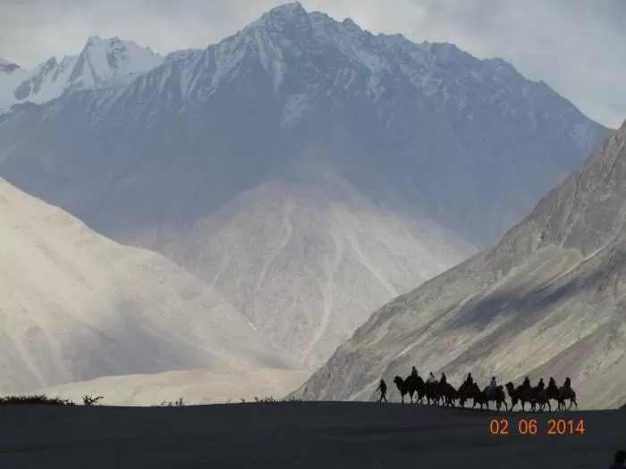 Photo of Nubra Valley by Mohal Banker