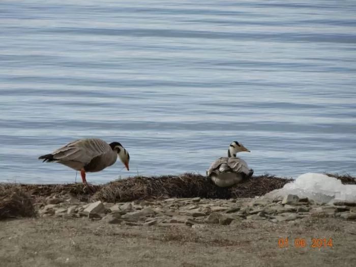 Photo of Zanskar by Mohal Banker
