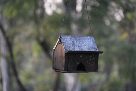 Photo of Life is not number of days you live but number of days you remember-Bir billing & palampur 2/6 by Mohal Banker