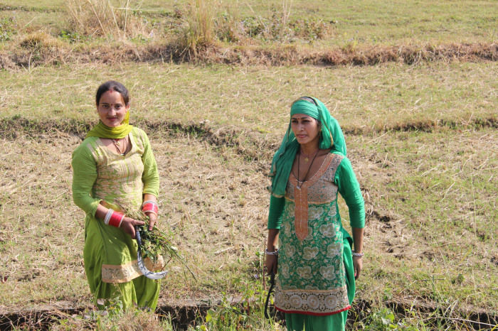 Photo of Life is not number of days you live but number of days you remember-Bir billing & palampur 3/6 by Mohal Banker