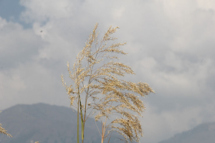 Photo of Life is not number of days you live but number of days you remember-Bir billing & palampur by Mohal Banker