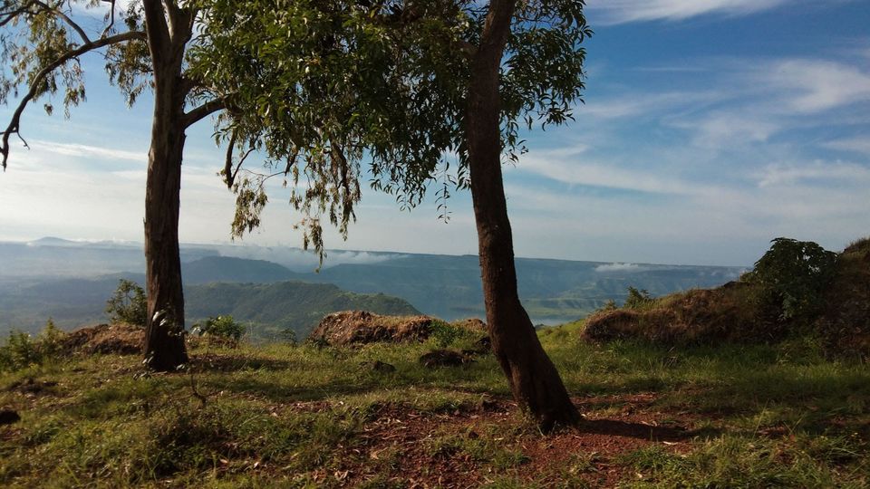 Photo of Our own 'Valley of Flowers' #MaharashtraTourism #kaasPlatue #satara 2/18 by Priyanka Dwivedi