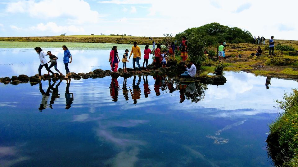 Photo of Our own 'Valley of Flowers' #MaharashtraTourism #kaasPlatue #satara 11/18 by Priyanka Dwivedi