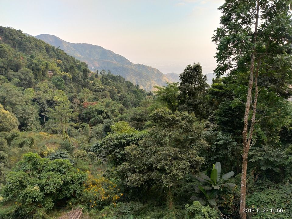 Photo of Rosa Allita Hotels & Resorts, Ashram Basti, Kurseong, West Bengal, India by Atul Surana