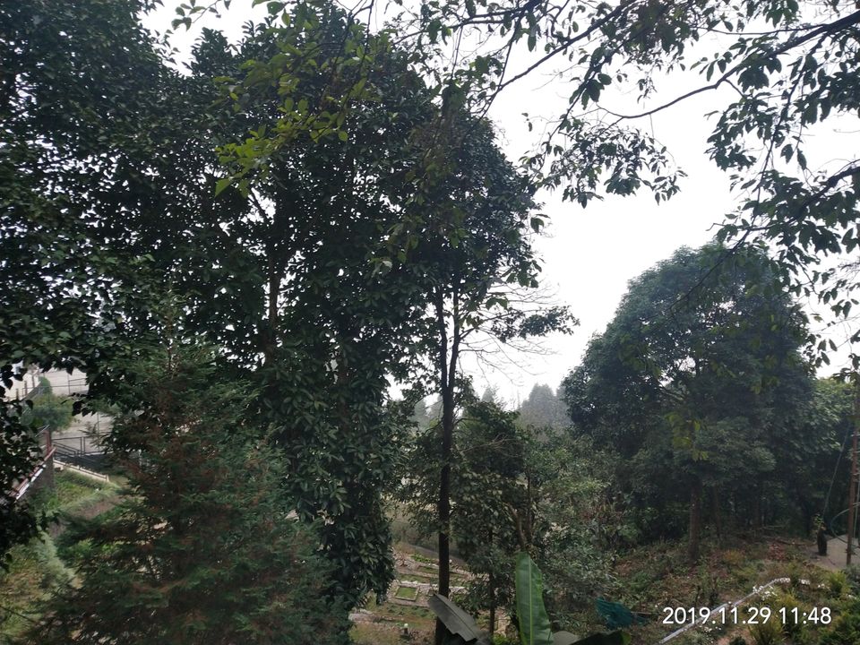 Photo of To the HILLS by Atul Surana