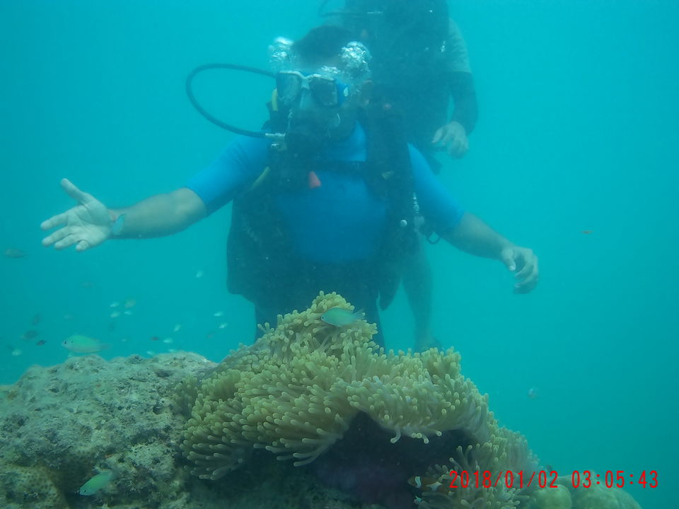 Photo of Indian Maldives (Andaman & Nicobar) 4/10 by vinay tripathi