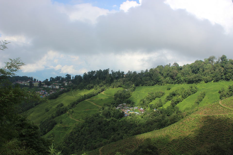 Photo of Darjeeling, West Bengal, India by Anjali Mariam Paul