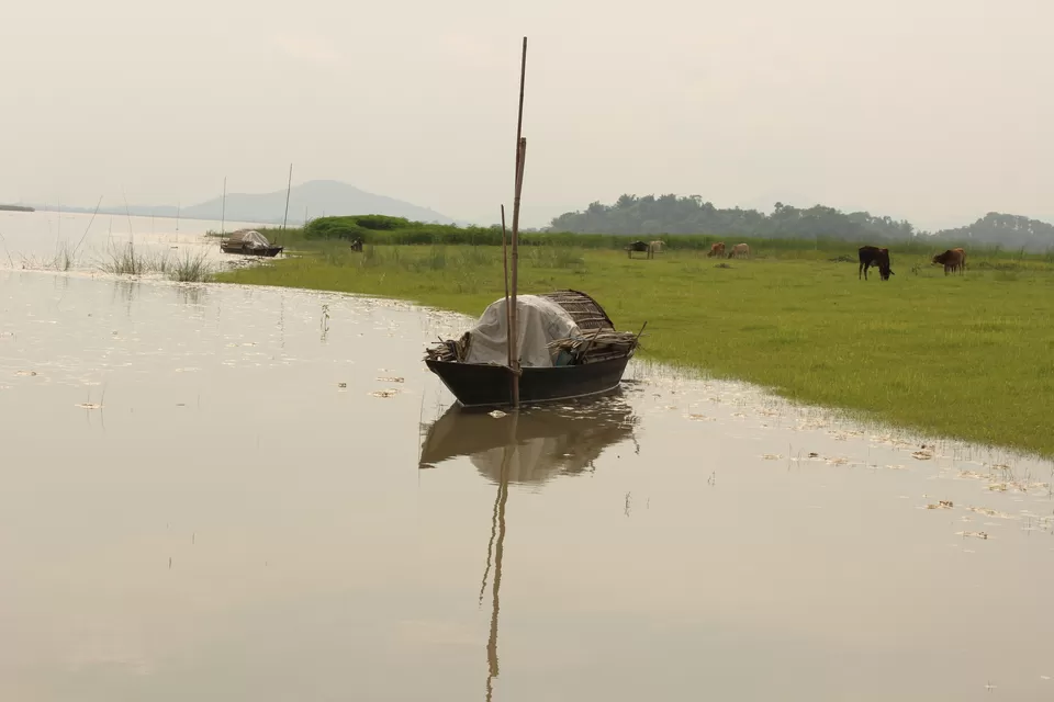 Photo of Bongaigaon, Assam, India by Anjali Mariam Paul