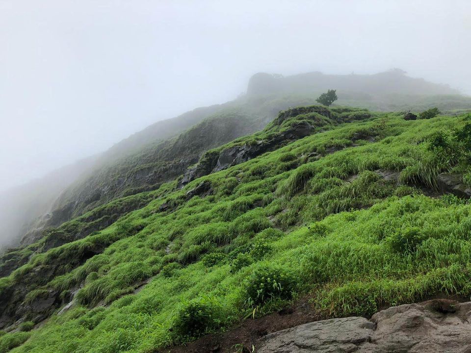 Photo of Visapur Fort Waterfall, Pune, Maharashtra, India by Aakash Kumar
